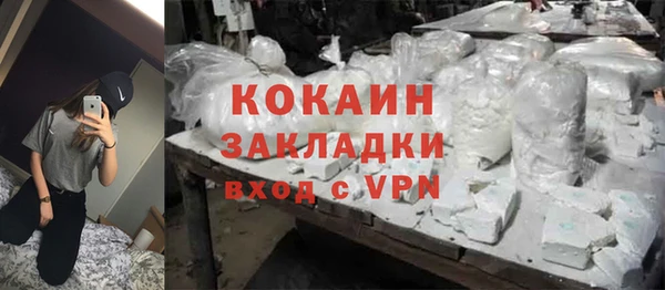 прущие грибы Дмитровск