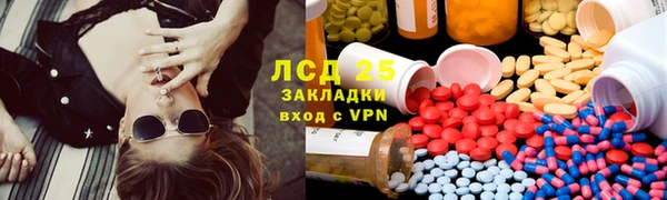 прущие грибы Дмитровск