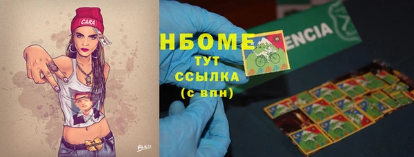 прущие грибы Дмитровск
