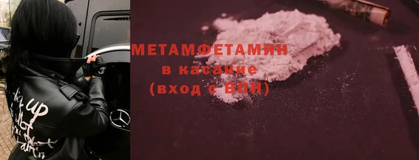 прущие грибы Дмитровск