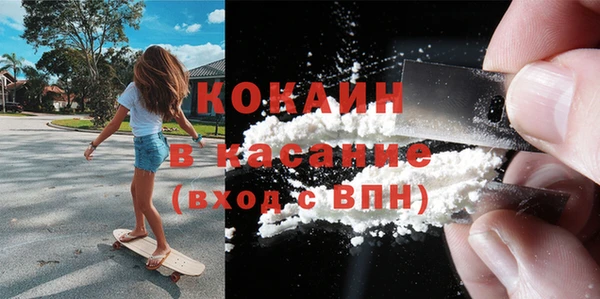 прущие грибы Дмитровск