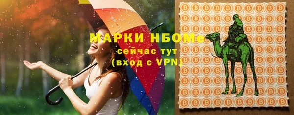прущие грибы Дмитровск