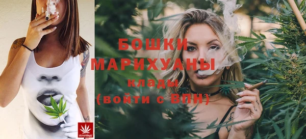 прущие грибы Дмитровск