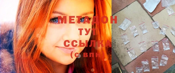 прущие грибы Дмитровск