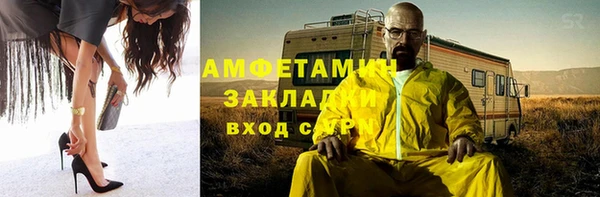 прущие грибы Дмитровск