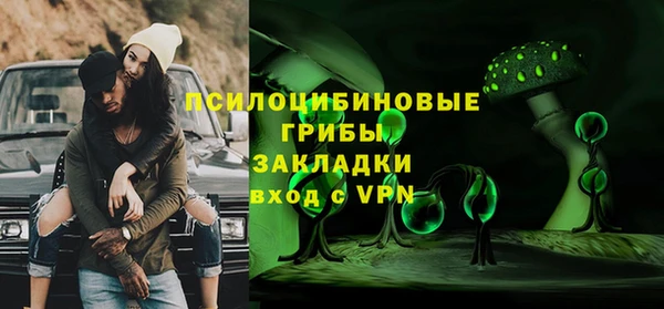 прущие грибы Дмитровск