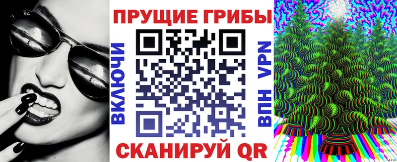 Купить  Губкинский  Псилоцибиновые грибы MAGIC MUSHROOMS 